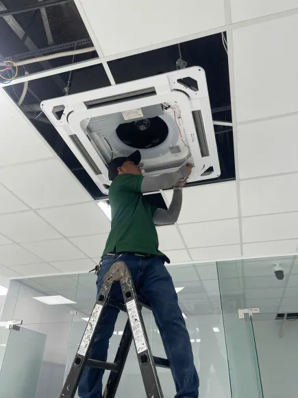 Lắp đặt tủ đông